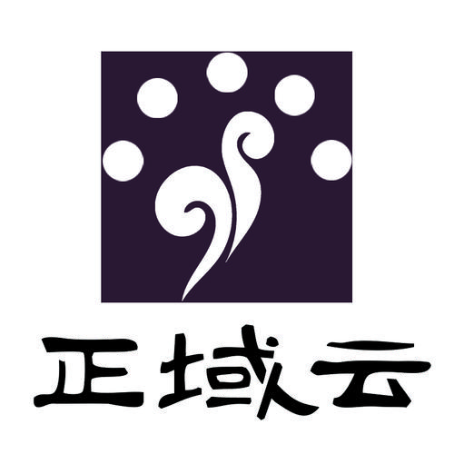 新疆正域云科技 深耕信息系統集成，賦能數字化未來